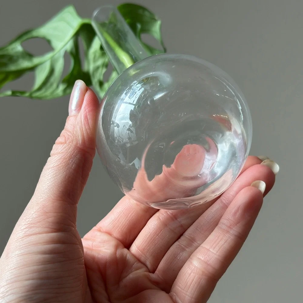 Vintage Clear Glass Propagation Vase Plant Bud Vase